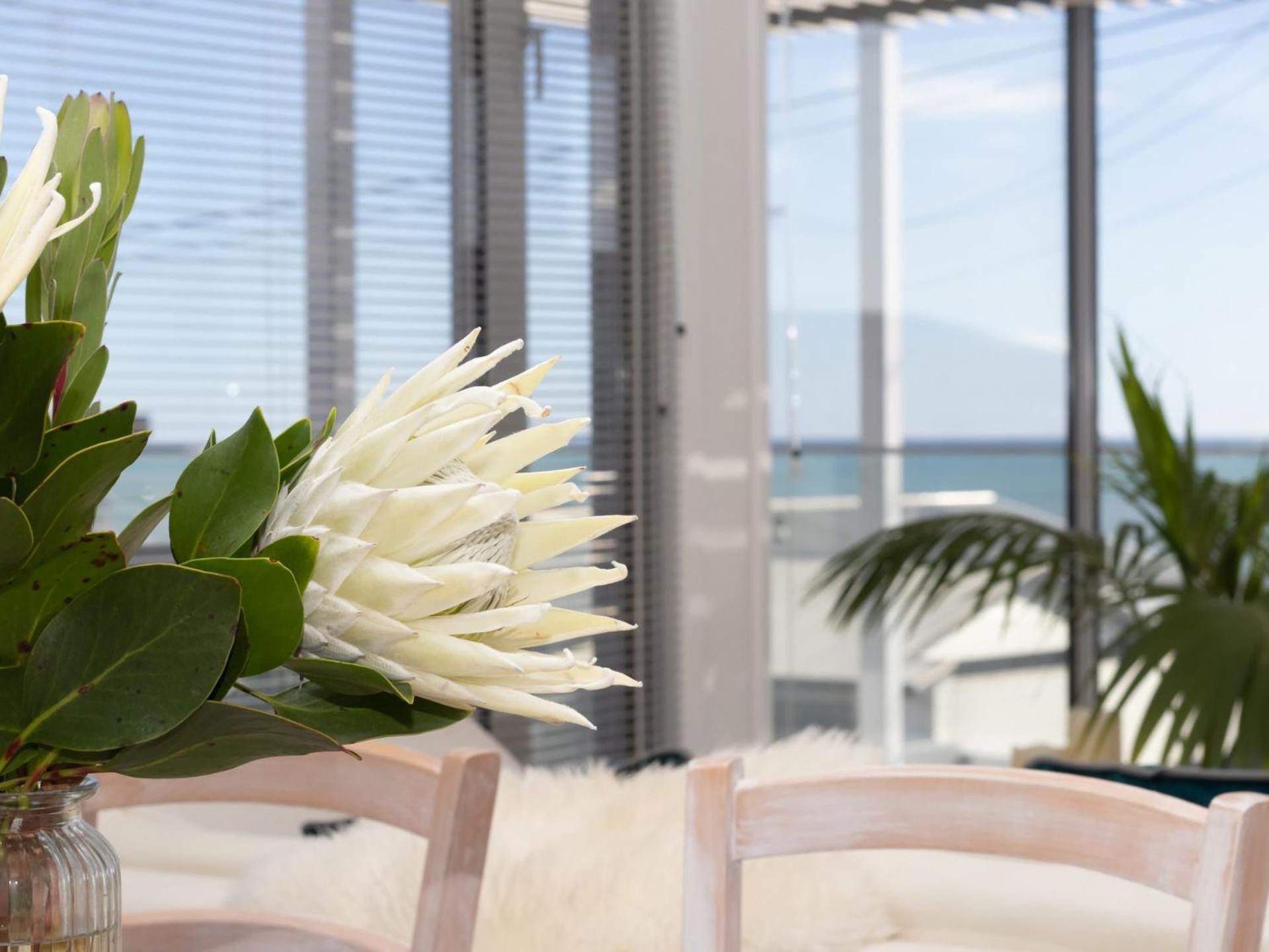 The Ocean Outlook - Pure Luxury Accommodation New Plymouth Exteriör bild