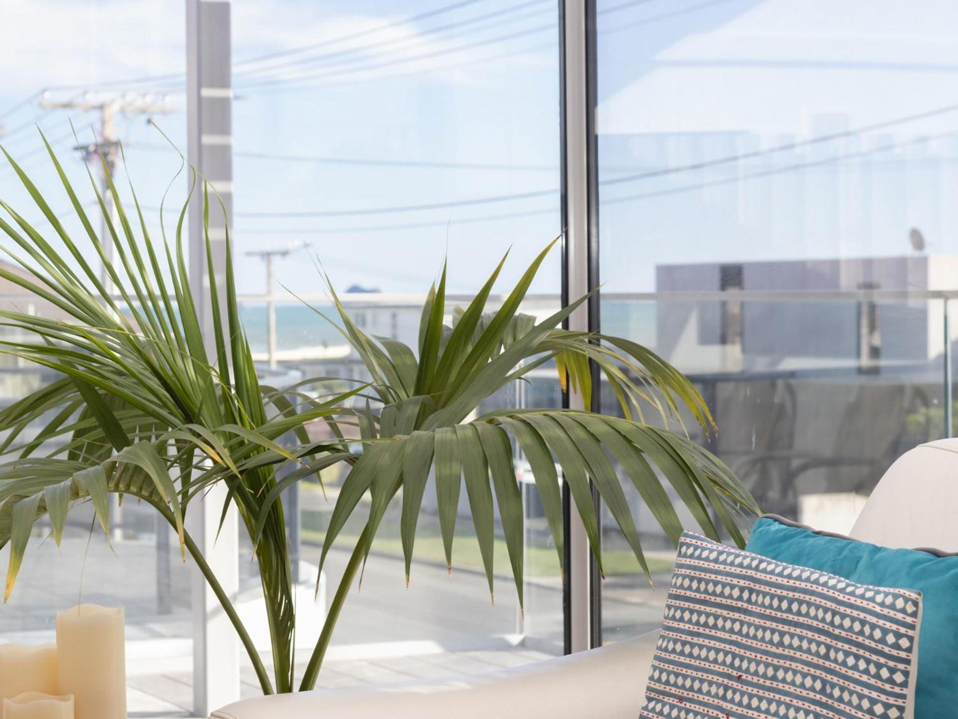 The Ocean Outlook - Pure Luxury Accommodation New Plymouth Exteriör bild